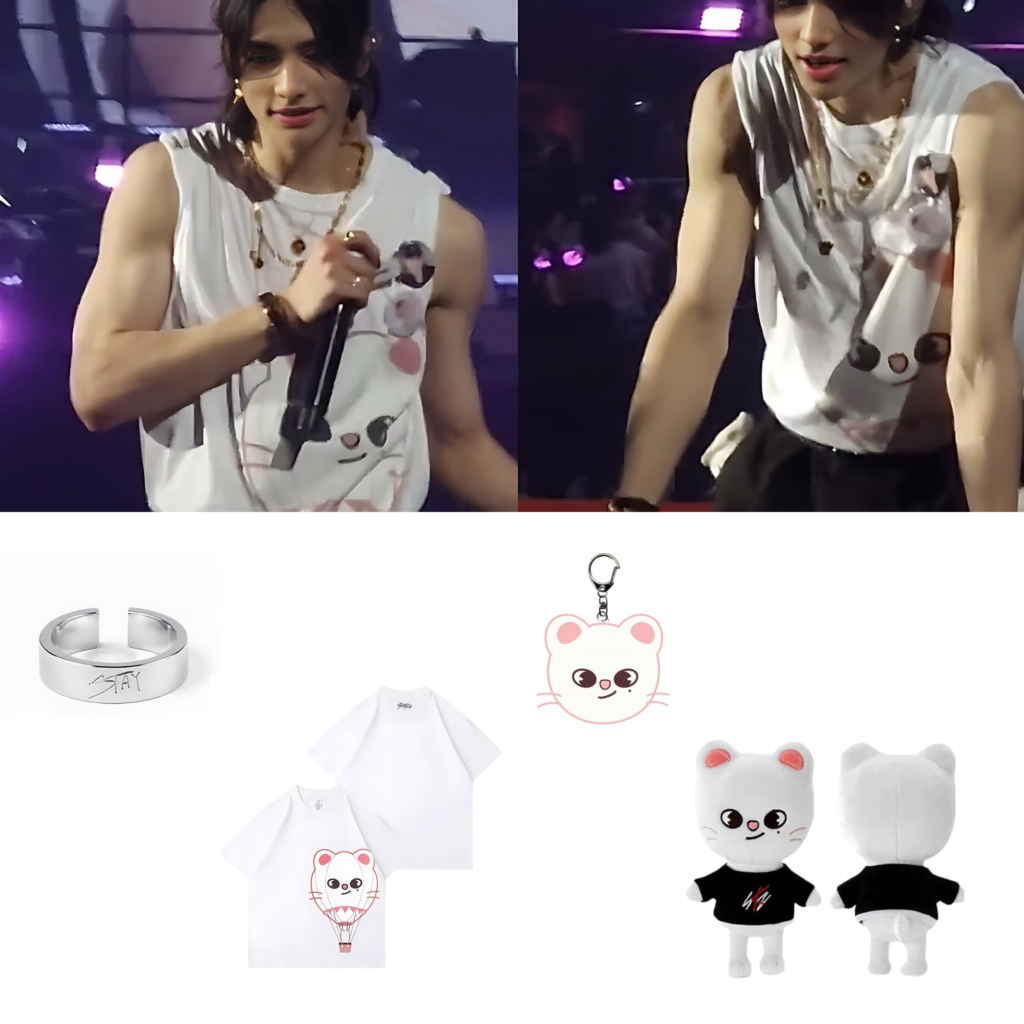 Stray Kids SKZOO 5-Star Japan Dome Concert Hyunjin Bundle | idollookbook